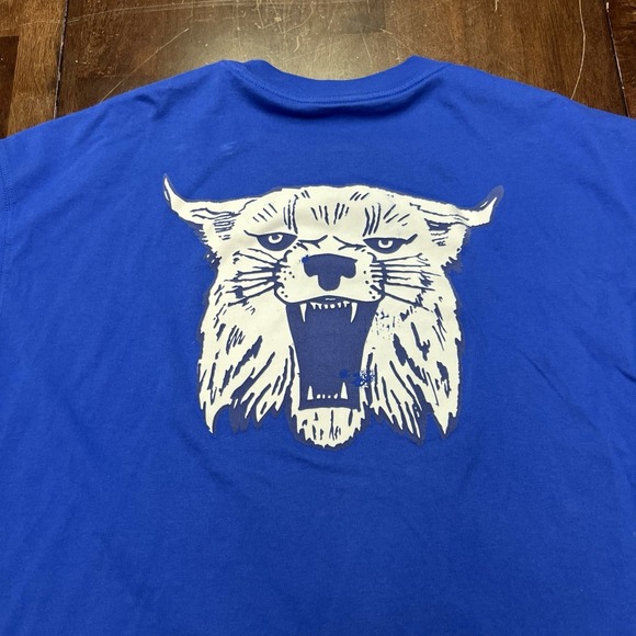 Nike Tee University‎ of Kentucky Wildcats Retro Logo T Shirt Medium UK BBN - Picture 1 of 7